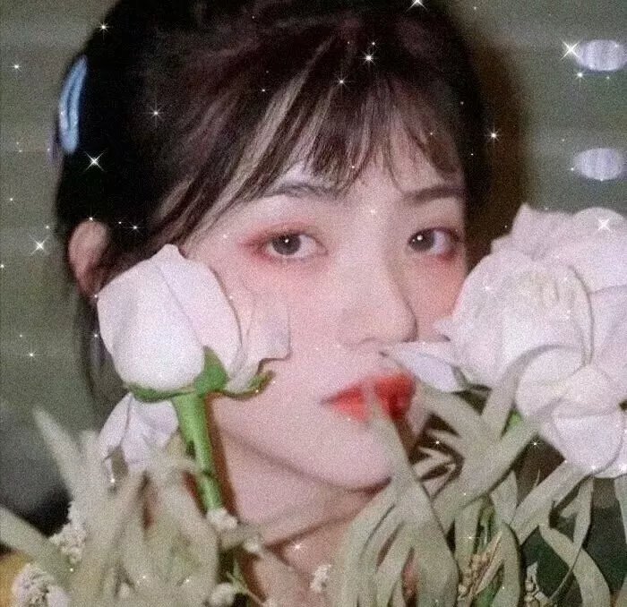 懒虫陷情记
